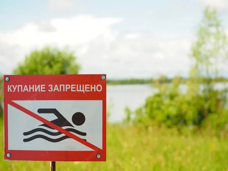 УВАЖАЕМЫЕ ЖИТЕЛИ И ГОСТИ ЧАМЗИНСКОГО РАЙОНА!.
