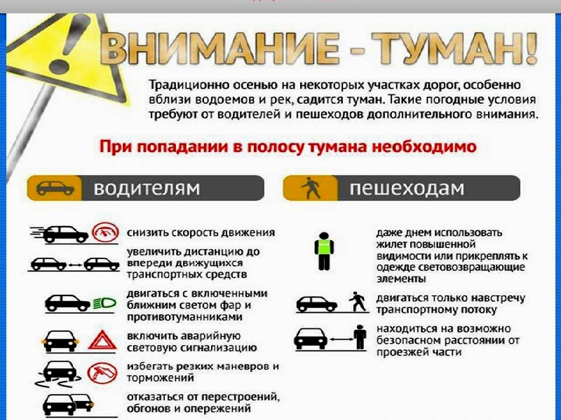 Рекомендации населению при тумане.