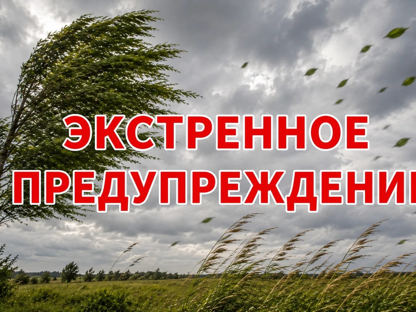 «Экстренное предупреждение».