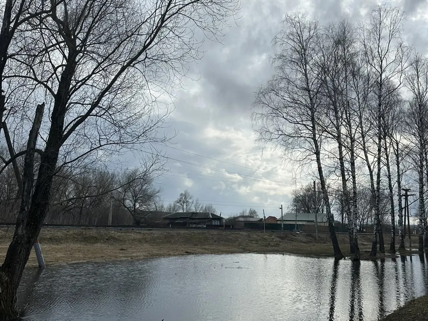 Экстренное предупреждение на 29.04.2026 г. (порывы ветра).