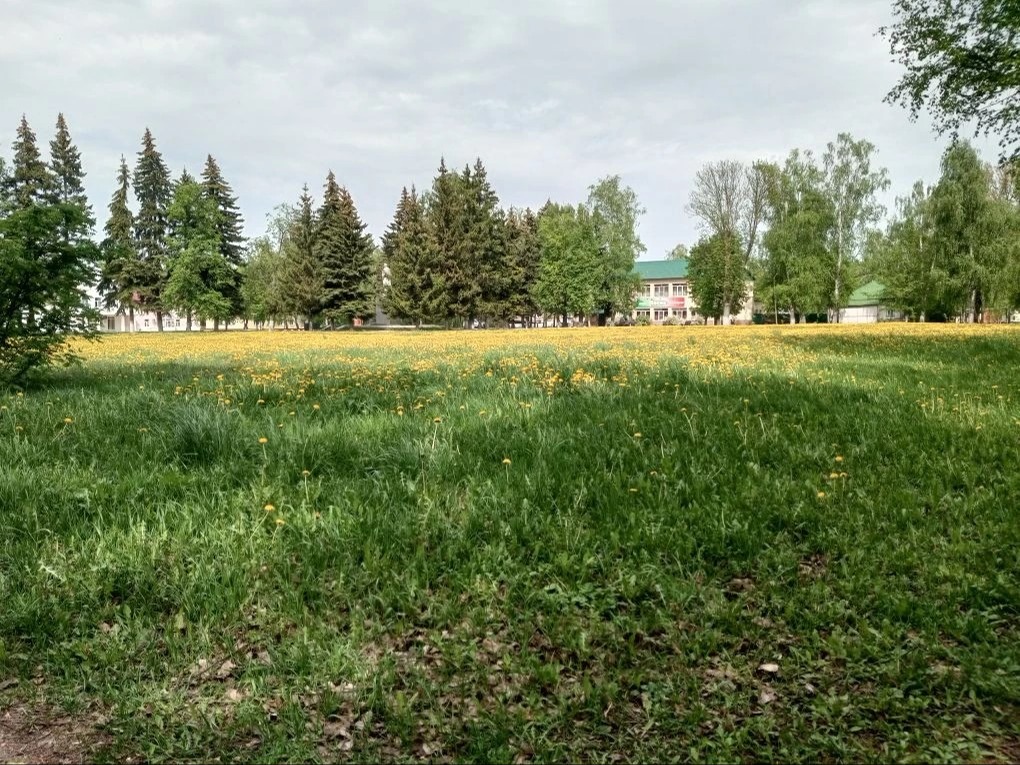 Ежедневный прогноз на 31.05.2026 г - МР (4,5 КПО, гроза, туман).